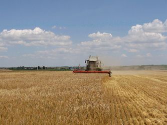 Чернігівські аграрії планують зібрати врожай зернових і зернобобових не менше від минулорічного